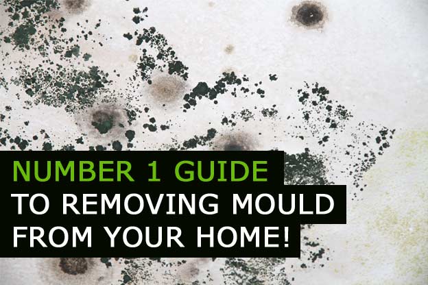 Remove Mould